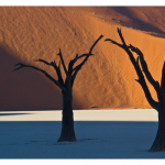 Nancy Hopwood - Dead Tree Vliet Namibia | Photograph | 16" x 20" | $325"As I traveled to over 60 countries, the beauty of the landscapes was impressive, particularly desert spaces, but it was the people that were the most rewarding to me. I have come to believe that this earth is really a very small place and there are more similarities amongst the peoples than differences."
