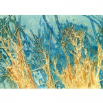 Lonora Flores - Fields 4 | Mixed Media | 12" x 24" | $800"One of the many things that fascinate me is the texture and movement of grasses. The way the wind ripples over fields creating waves and motion. The movement is like a magical dance that makes me want to join in."