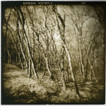 Pam Guenzel - Forest Path 3 | Toned Gelatin Silver Print on Fiber | 12" x 12" | $250"The random possibilities generated by Holga combined with careful observation and selection of structure and patterns found in nature have deepened my sensitivity to the elements of landscape."