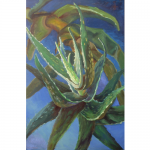 WanChuan Kesler - Aloe | Oil on Canvas | 36" x 24" | $1500"It is perpetually fascinating to me how an object of art can speak to us without any language barrier. I would like my paintings to speak of life, of love, and of humanity."