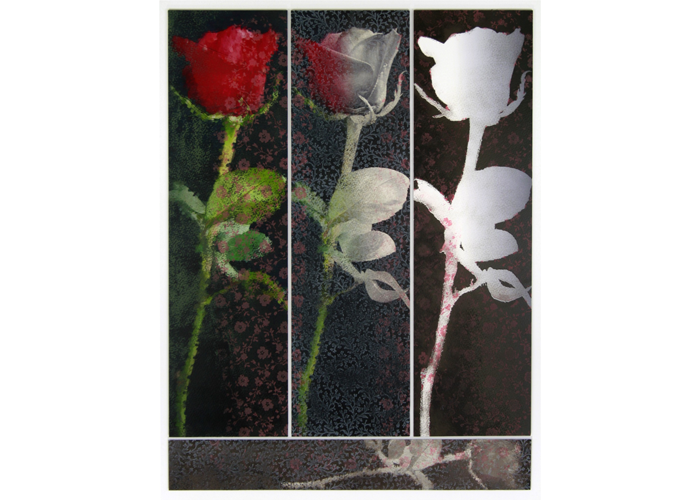 <b>Vickie Michalak – <i>Alzheimers Dementia</i> | digital collage, screen print, mixed media | 15″ x 22.5″ | $800</b><br>This piece is a reflection of the last 10 years observing my husband’s ongoing struggle with dementia. The rose at the very bottom represents his old memories from childhood that keep popping up, while the sequence of roses across the top represents all of those more current memories and abilities he has lost. Vickie Michalak - Alzheimers Dementia | digital collage, screen print, mixed media | 15" x 22.5" | $800This piece is a reflection of the last 10 years observing my husband’s ongoing struggle with dementia. The rose at the very bottom represents his old memories from childhood that keep popping up, while the sequence of roses across the top represents all of those more current memories and abilities he has lost.