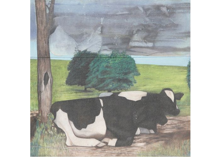 Richard Wilt | Cows Laying Down with Trees